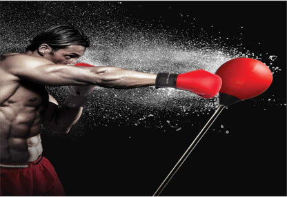 BRITX Children Adult Free Standing Teenager Boxing Punching Bag Glove Gift Set Boxing Speed Ball Fitness Free Standing Bag Punching Bag Boxing Sports Toy